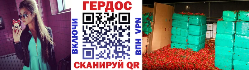 ГЕРОИН хмурый Горно-Алтайск