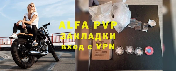эйфоретик Бородино