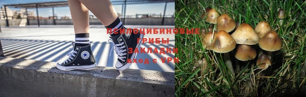 2c-b Верея