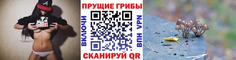 Псилоцибиновые грибы мухоморы Горно-Алтайск